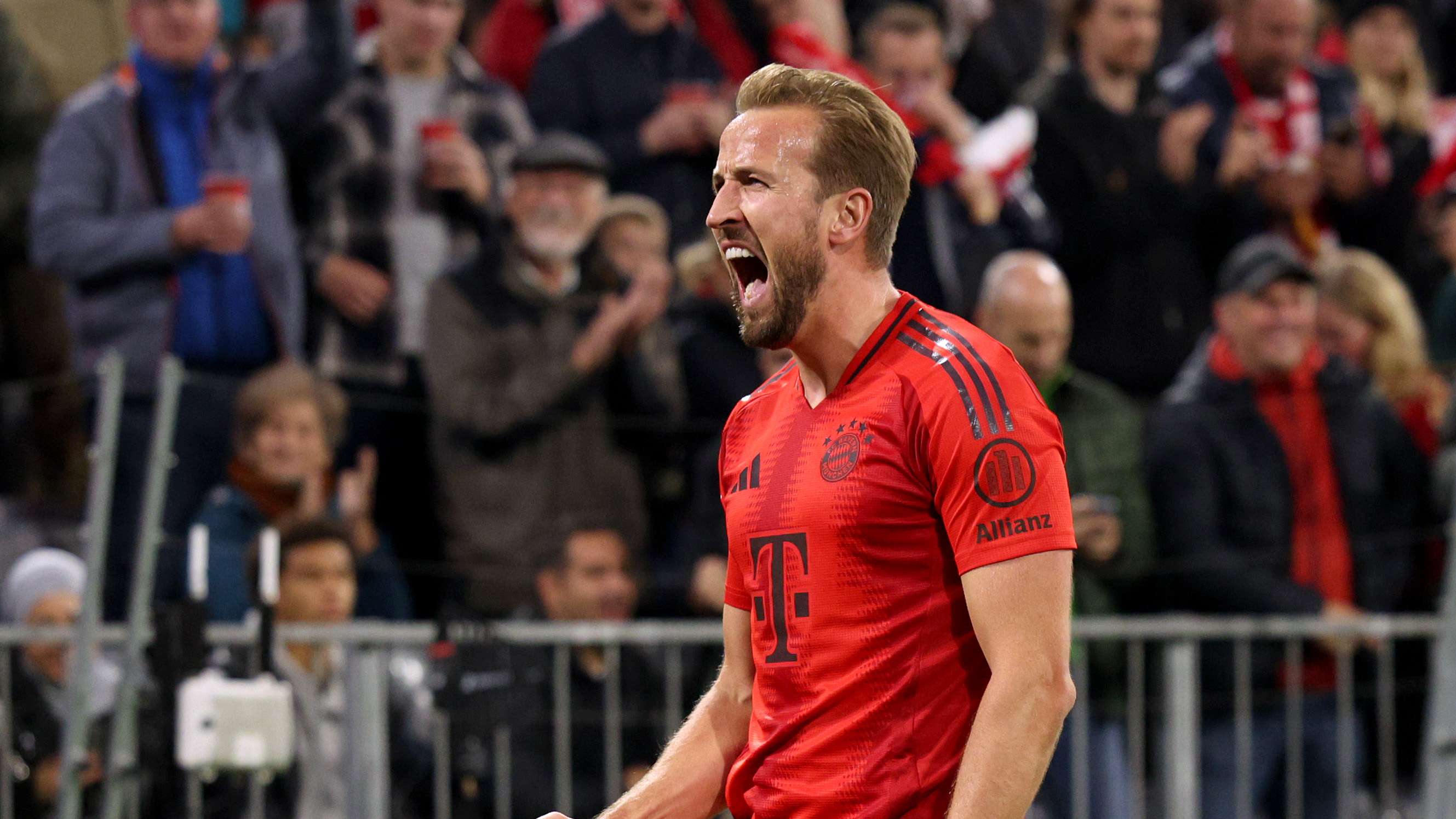 新春祝福背 新春祝福背